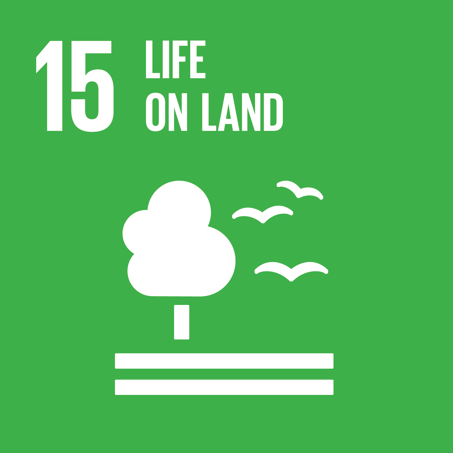 15 Life on Land 15 Life on Land