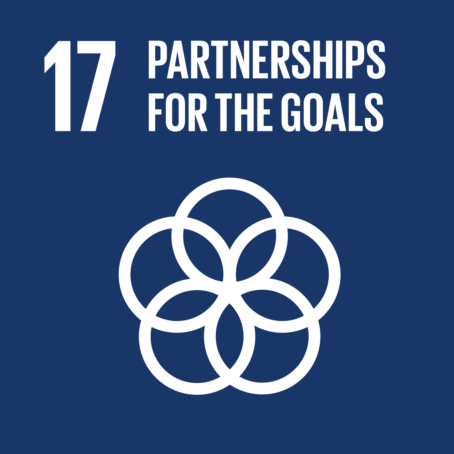 17 Partnerships for the goals 17 Partnerships for the goals